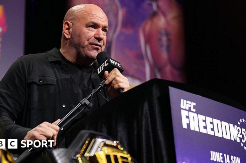 Billam-Smith x Rozicki: Quem é o Zuffa Boxing e eles podem abalar o esporte?