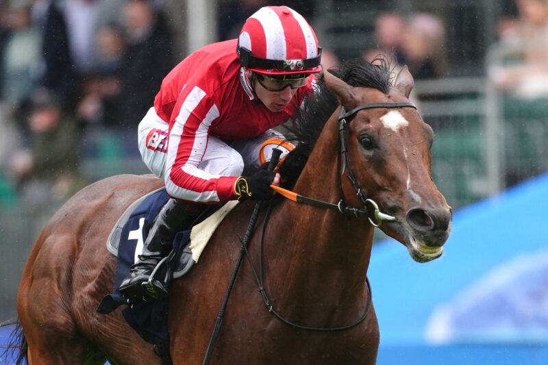 Epsom: Bay City Roller destrona Jan Brueghel na Coronation Cup após a vitória de Sparks Fly e Ten Bob Tony | Notícias sobre corridas