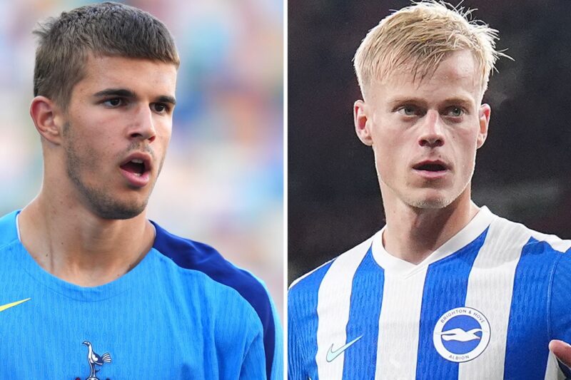 Notícias sobre transferência do Tottenham: dilema de Luka Vuskovic do Spurs, já que duas ofertas do Brighton foram rejeitadas após acordo com Jan Paul van Hecke | Notícias de futebol
