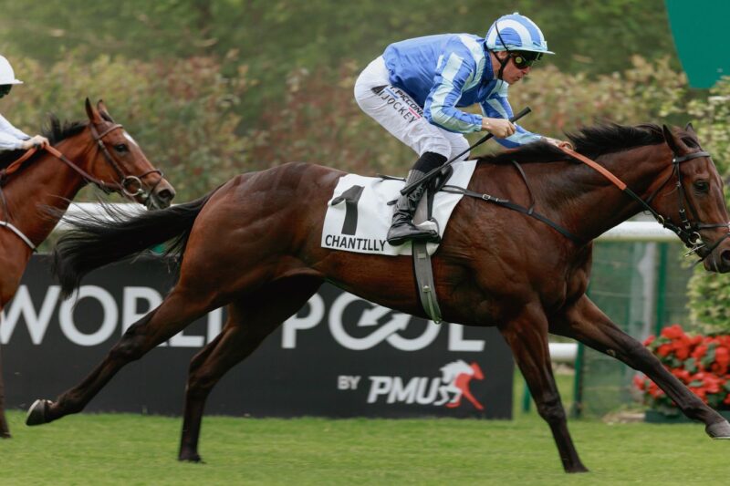 Hoje na Sky Sports Racing: Newton Abbot e Chantilly | Notícias sobre corridas